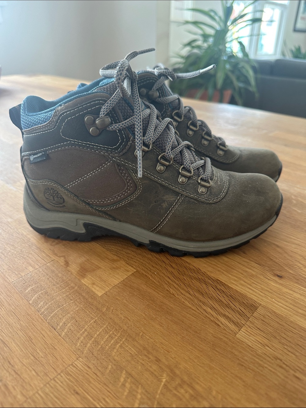Timberland, TimberDRY hiking boots, size 6